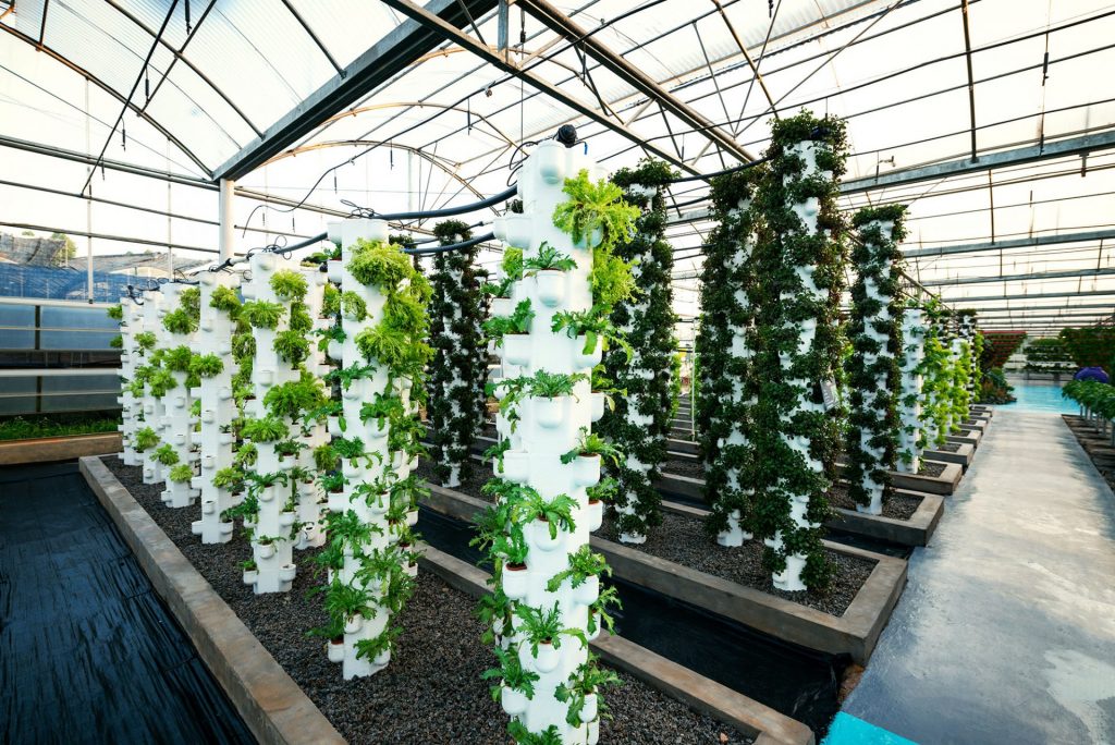 advies-plantenkassen-henroBV