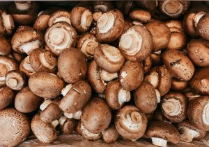 champignon-teelt-henroBV