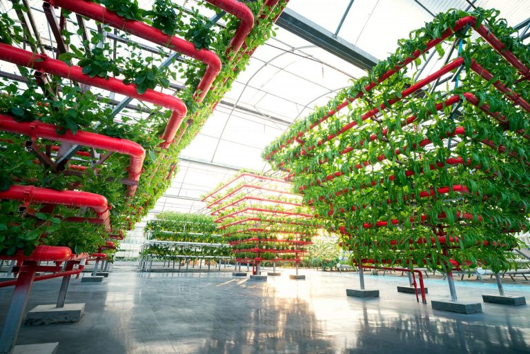 indoor-greenhouse-system-HenroBV
